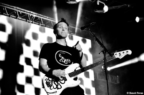 un-certain-regard:Le bassiste du groupe américain Blink 182 Mark Hoppus lors de la 11e édition du Fe