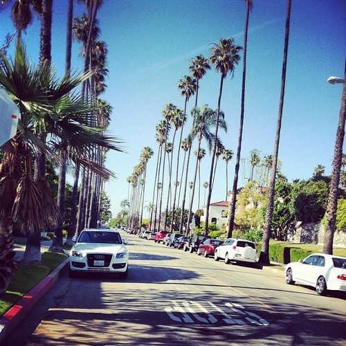 rosyhaz:  ✿more rosy here✿ 