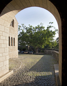 I have said it before, and I am sure I will say it again, I just love the garden blog from the Cloisters. In this recent post, one of the Cloisters’ administrators, Christina Alphonso, takes a loving look at the tree she sees through her window each...