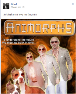 skippurc0re:  GOD BLESS PITBULL