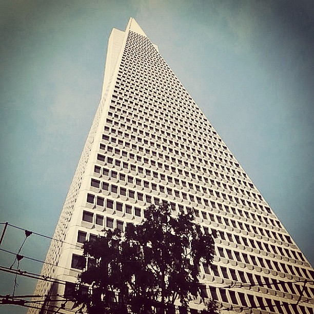 Transamerica Pyramid #building by William L. Pereira (1972) #SanFrancisco #California #archdaily #architecture #architecturalphtography #instagood #iphonesia #buildingmadness (Taken with Instagram)