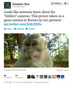 the-absolute-funniest-posts:  Little monkey found hidden camera. I think it’s from his facebook.