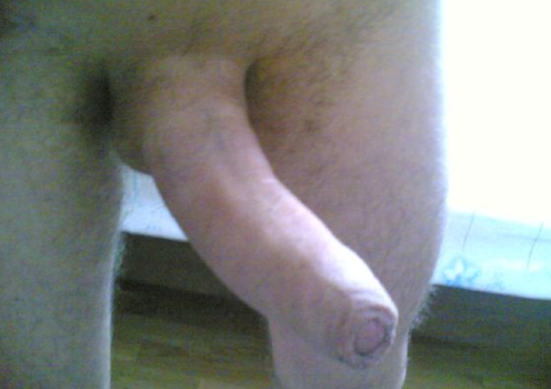 ENGLISH COCK