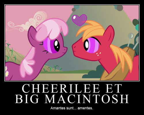 CHEERILEE ET BIG MACINTOSHAmantes sunt… amentes.CHEERILEE AND BIG MACINTOSHLovers are…