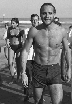  Paul Newman on the shore in Lido, Venice,