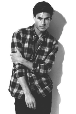 lovelyharmonys-blog:  a photoset of Alex Bechet ruining your life 