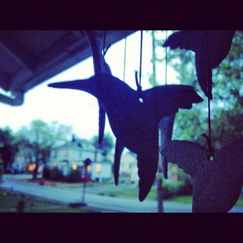 tumblr photo hopelesslylostwanderer 0