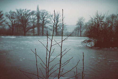 c4lmdown:  (by .stumbleine.) 