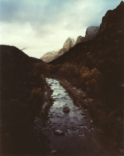 stfulee:  cervid:  Zion Zion ZION (by aaronbraun)  (via imgTumble)