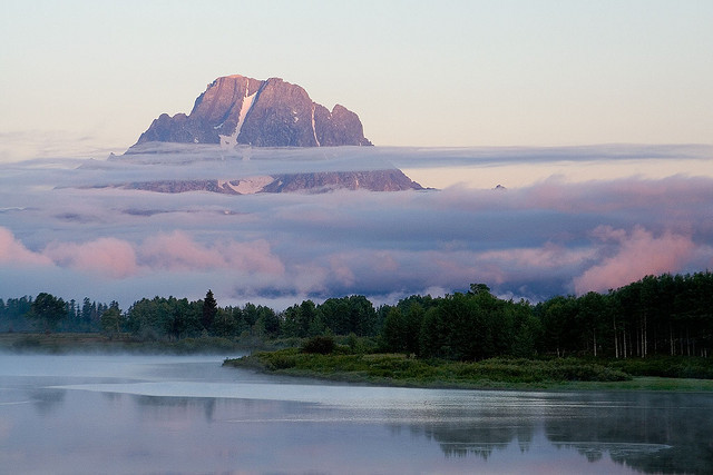 isawatree:   Foggy Morning by Robby Edwards on Flickr. 