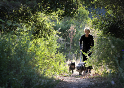 Trail gets final county push for completion; path between Nisene Marks, Cabrillo more than a decade in making By JASON HOPPIN - Santa Cruz Sentinel Posted: 07/18/2012 06:40:03 PM PDT
Click photo to enlarge      Kathryn Britton takes her dogs Tule and...