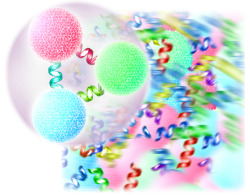 rhamphotheca:  Primordial Soup of Big Bang Recreated by Charles Q. Choi The primordial soup of matter that existed only split-seconds after the Big Bang is now getting recreated in the most powerful particle colliders in the world. Such research could