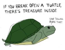 the-absolute-funniest-posts:  Turtles