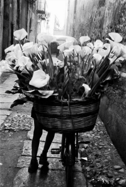  Sicily, 1961 photo by bruce davidson/magnum photos 