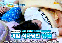 mintytaem:  18 /? Shinee Hello BB funny moments ( because Minho is so obvious and