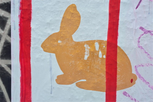 a rabbit in Belleville, Paris, 2012