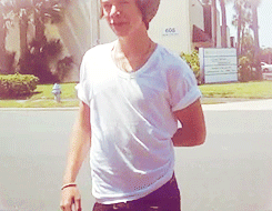 dreamwalkers:  Harry meets fans in Orlando x 