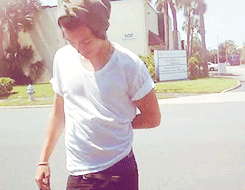 dreamwalkers:  Harry meets fans in Orlando x 