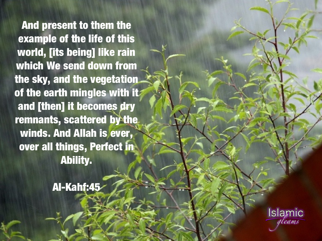 Rain - Inspirational Islamic Quotes