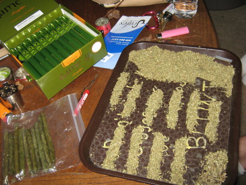 06 30 2009 Rolling madddddd blunts for the Allagash River canoe trip :) The other kids we went with 