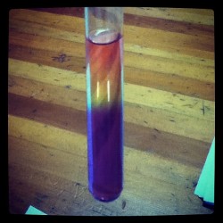 With Brandon and Matt in Chem my awesome chemical creation (Taken with Instagram)