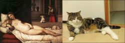 caturday:  Titian, “Venus Of Urbino”