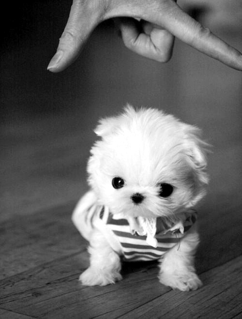 lemme love you bb. 