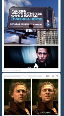 whyisdreamsuchahugetittythen:  whovian-from-whoville:  My dash is perfect.  this might be my favorite thing ever 