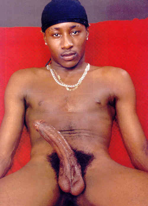 newthang2011:  allkindsofblackdudes:  Lil TI  (via imgTumble)