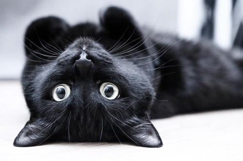 Click here for the most beautiful blog you have ever followed :)