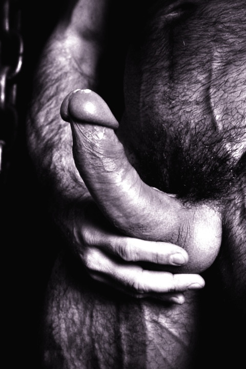 real-untamed-men:  Untamed Men - The blog for men who defy convention. 