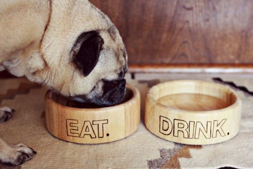 littlecraziness:  (via Adventures in Wood Burning: Dog Bowl Project - A Beautiful Mess)