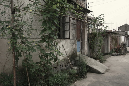 China Days 32-37 And: