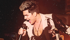 oh-myadam:  Adam Lambert - Pacific Amphitheatre in Costa Mesa 