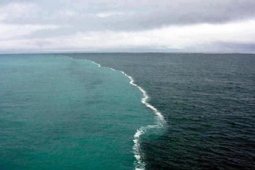 funnywildlife:  Where two oceans meet… but do not mix!!INCREDIBLE AND SIMPLY MIND-BLOWING!!!These two bodies of water were merging in the middle of The Gulf of Alaska and there was a foam developing only at their junction. It is a result of the melting
