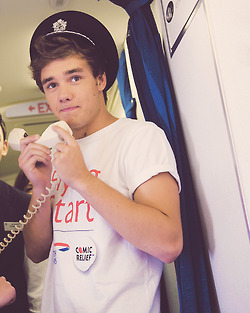 If the boyband thing doesn't work out, they could always start an airline