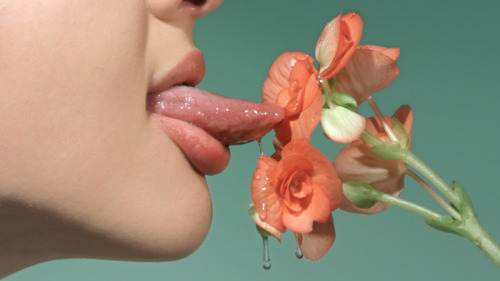 livinginyourhappytrail:  Petrina Hicks  porn pictures