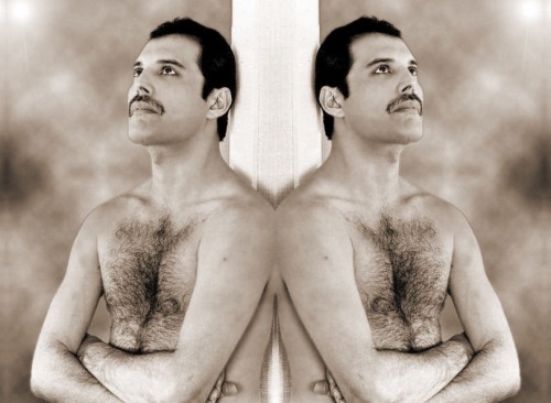 queendears:Freddie - ‘The Chest Tour’