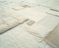 whitehotel: Fernanda Gomes, Installation,