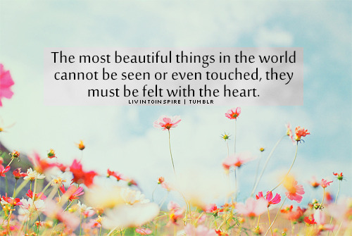 thelovenotebook:  THE BEST LOVE QUOTES