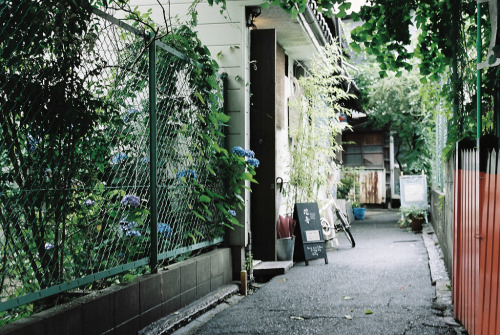 hachimitsu:裏道 back lane (by cotoko)