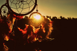 beautiful, bright, dream catcher, light, nature 