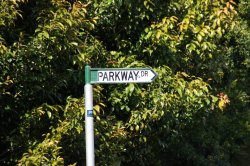 illicitbehaviour:  Parkway Drive | Byron