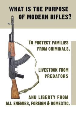 firearmsblog228:  first-in-firearms:  Amen.