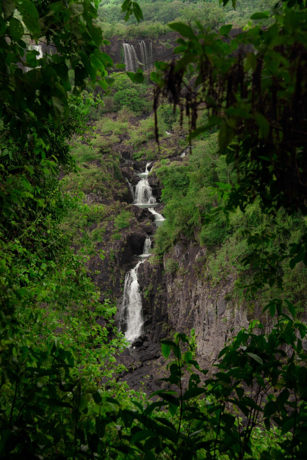 captivesouls:  Nature