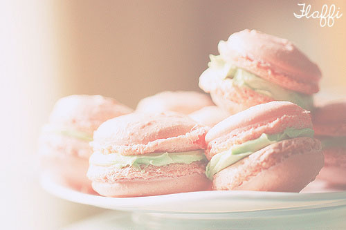 Welcome to my Blog