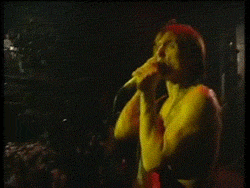 Iggy Pop was one of the first men I saw a nude photo of. Totally #mademegay