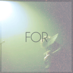 Fall Out Boy never die.