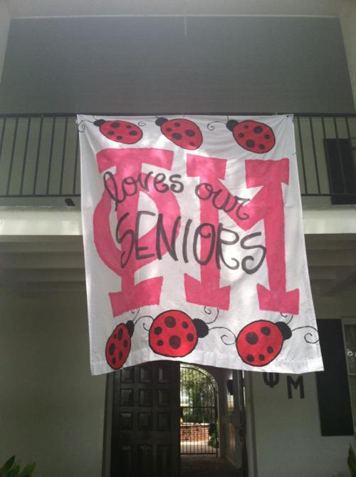 Phi Mu senior week!Source: Facebook