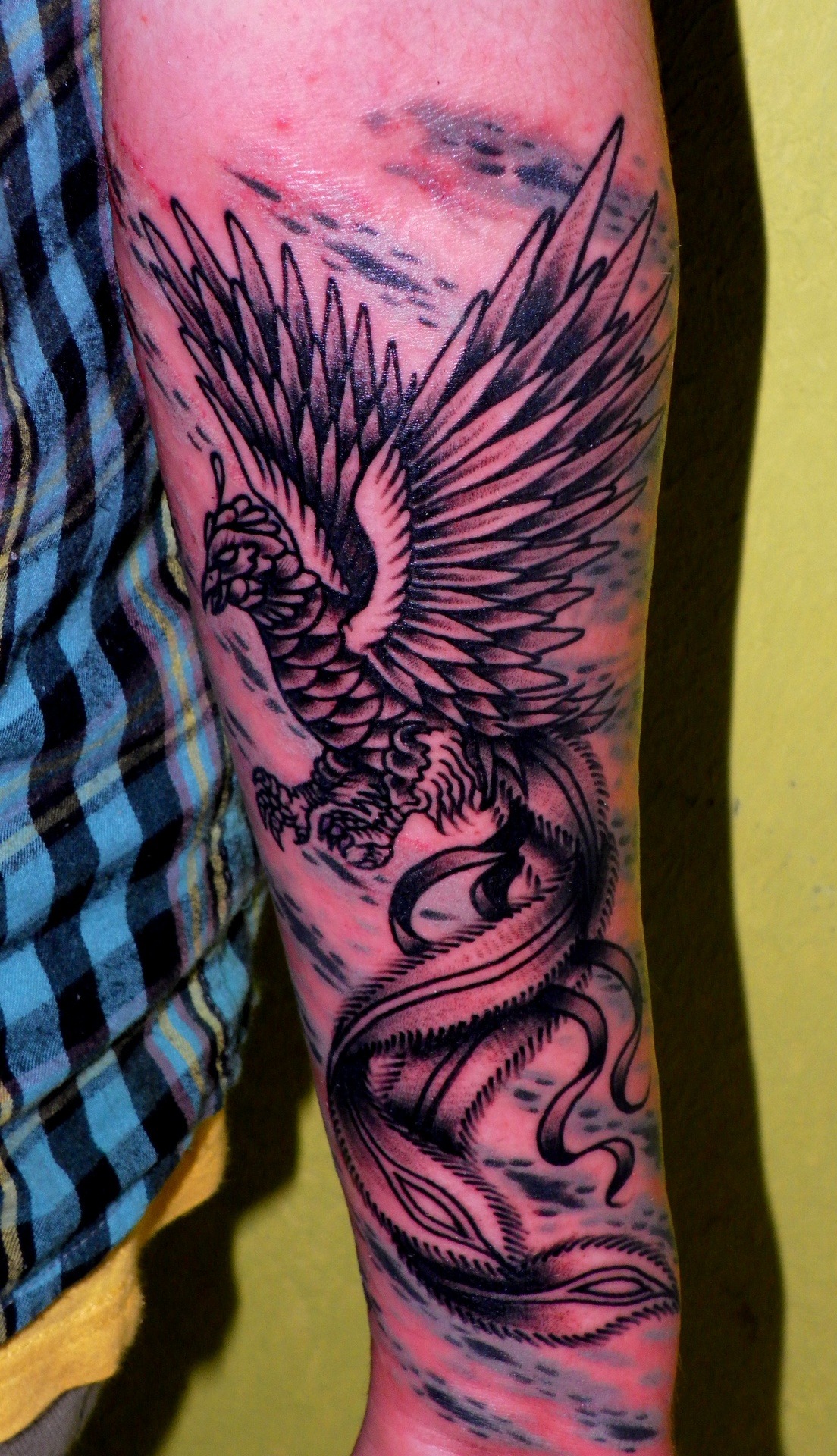 Tattoo de ave fenix